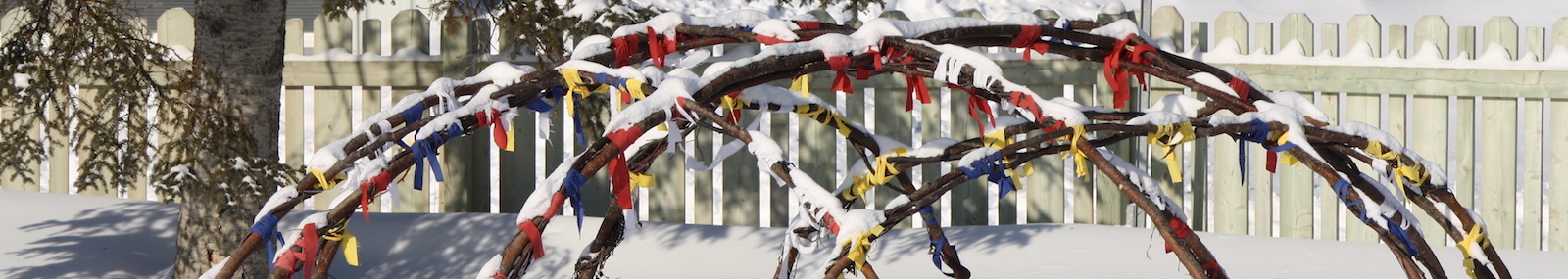 Traditional Healing Program